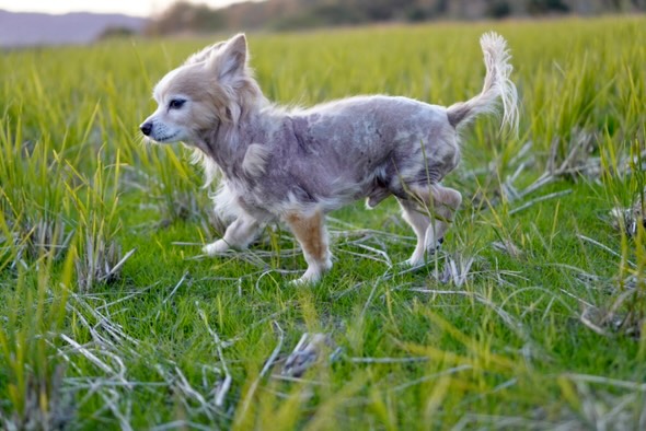 皮膚が黒くて悩んでいた頃のバニラくん